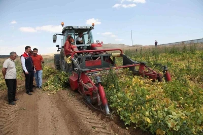 110 bin dekar alana ekilen kuru fasulyenin hasadına başlandı
