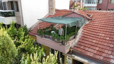 18 metrekarelik terasını 200 fideyle bahçeye çevirdi, 8 saatini burada harcıyor

