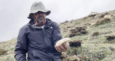 2 bin rakımda yetişen mantar altınla yarışıyor
