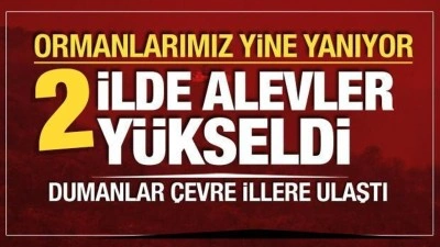 2 ilde orman yangını! Rüzgarın etkisiyle alevler büyüyor