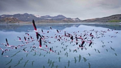 2 yıl önceye kadar flamingoları ağırlayan gölde şimdi sadece ayak izleri kaldı
