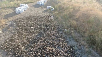 2 yıllık serüven başladı, Sivas bıçağının olmazsa olmazı kurutulmaya bırakıldı
