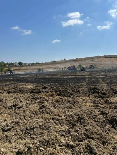 20 dönümlük alan anız yangınında kül oldu
