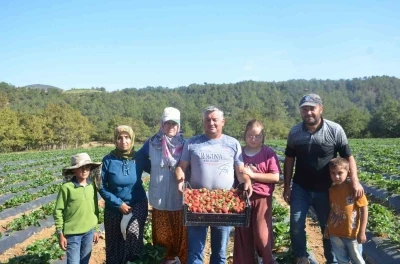 25 yıl yaptıkları işi yürütemediler, son çare olarak bunu buldular
