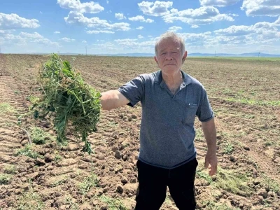 3 bin 500 d&ouml;n&uuml;ml&uuml;k tarım arazisinin 2 ayrı kişiye kiralandığı iddiası
