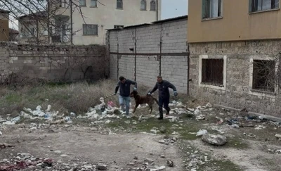 3 yaşındaki &ccedil;ocuğuna k&ouml;pek saldıran baba: "K&ouml;peğin &ccedil;ocuğumuzu bırakması i&ccedil;in &ccedil;ok uğraştık"
