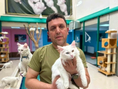 30 yıllık emek: Van kedilerine bir ömür adadı
