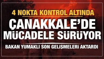 4 noktada alevler kontrol altında: Çanakkale'de mücadele sürüyor!