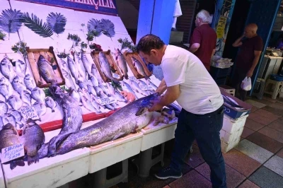 40 kiloluk yayın balığını görenler ’Canavar gibi’ diyor
