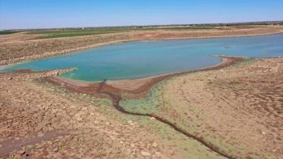 49 yıldır bölgeyi besliyordu! Kurumak üzere!