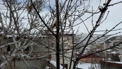 52 yılın en kurak zamanını ge&ccedil;iren &ccedil;ift&ccedil;i yağışlarla sevindi: İkinci &uuml;r&uuml;nde su sıkıntısı yaşanmayacak
