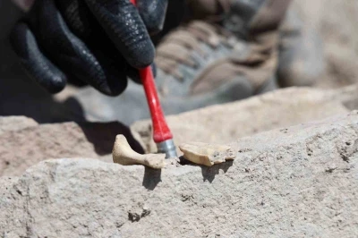 6 bin yıllık tapınaktan sonra Tadım Kalesi’nde insan ve hayvan kemikleri ortaya çıktı
