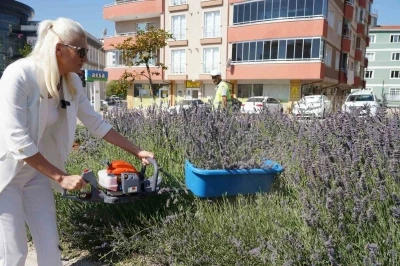 60 &uuml;lkeden 381 proje arasında Bilecik ve İstanbul yer aldı

