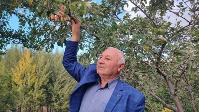 60 yaşındaki çiftçi: &quot;İlk kez böyle bir şey görüyorum&quot;
