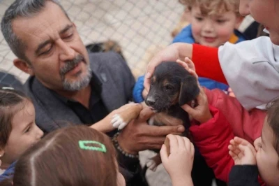 600 öğrenci barınaktaki can dostlarını ziyaret etti
