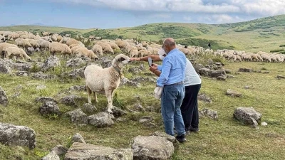 639 yıllık Tomağın Mezarlığı köylülerin hayvanlarına tuz taşı oldu
