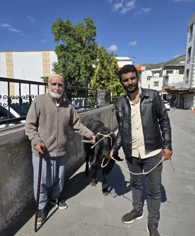 70 kiloluk dev ke&ccedil;i 36 bin liraya satıldı

