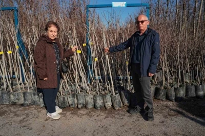 75 &uuml;reticiye 3 bin 600 fidan
