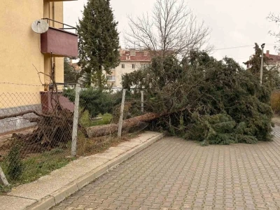 75. Yıl Mahallesi fırtınadan olumsuz etkilendi
