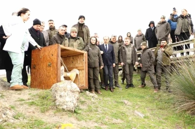 81 binden fazla g&ouml;&ccedil;men kuş halkalandı
