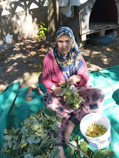 81 yaşındaki kadın her yerde aranıyor
