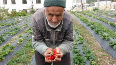 85 yaşındaki İbrahim dede &quot;Hayır Bahçesi&quot;nde yetiştirdiği meyve ve sebzeleri ücretsiz ikram ediyor
