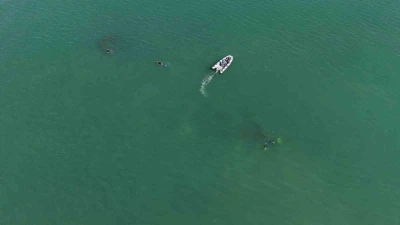 92 yıl yıl Ordu’da batmıştı: Rus şilebi dron ile görüntülendi, dalgıçlar gemiyi ilk kez keşfetti
