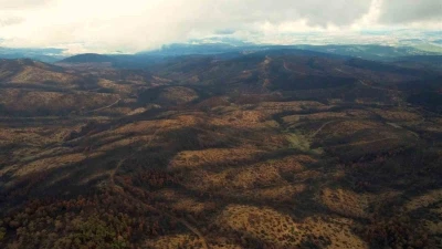 953 hektar kül oldu, Bursa’yı yeniden yeşertecek 300 bin fidan için ilk adım atıldı
