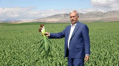 AB tescilli Araban sarımsağında y&uuml;ksek rekolte ve kaliteli &uuml;r&uuml;n bekleyişi
