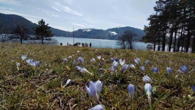 Abant&rsquo;ta karların ardından bahar manzarası
