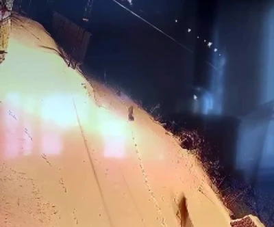 A&ccedil; kalan kurt s&uuml;r&uuml;s&uuml; şehir merkezine indi
