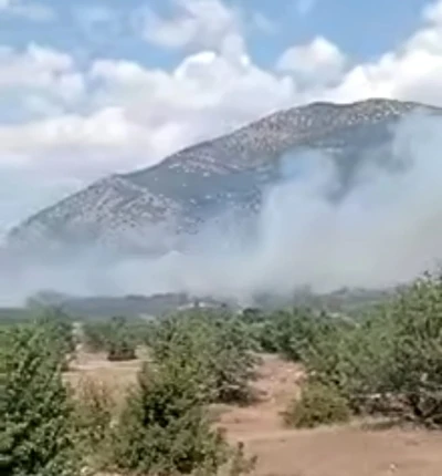 Acıpayam&rsquo;daki orman yangını kontrol altına alındı
