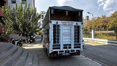 Adana’da 30 milyonluk kaçak doldurulmuş sigara ele geçirildi
