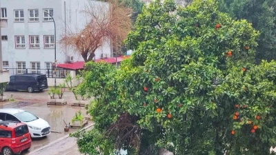 Adana&rsquo;da bayramda yağmur ve serin hava etkili olacak
