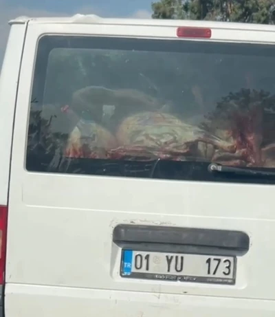 Adana’da etler hijyen kurallarına aykırı taşındı
