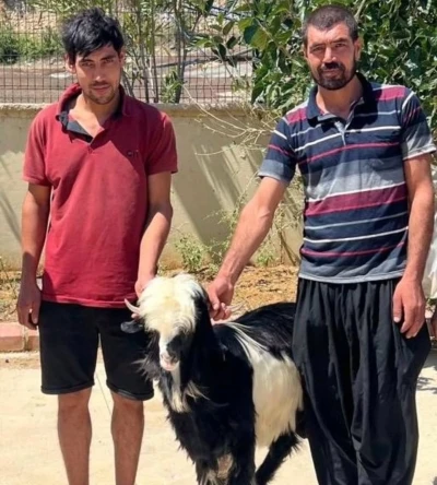 Adana’da keçi çalan 2 şüpheli yakalandı
