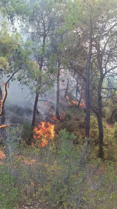 Adana’da orman yangını
