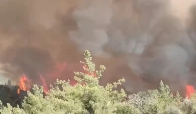 Adana’da orman yangını
