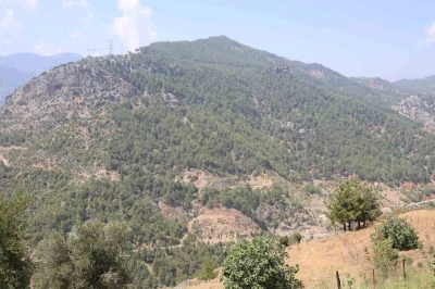 Adana’da orman yangınıyla küle dönen 4 bin hektarda fidanlar tekrar büyüdü
