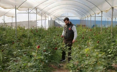 Adana&rsquo;da sevgililerin g&uuml;lleri dalında kurudu
