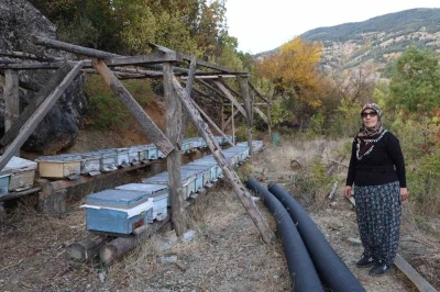 Adana’da sıcaklık düşmeyince arılar kışlama için kovanlara girmedi
