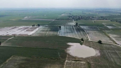 Adana&rsquo;da tarım arazileri sular altında kaldı

