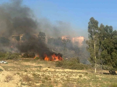 Adana’da yerleşim yeri çevresinde ağaçlık alanda çıkan yangın korkuttu
