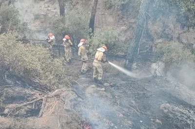 Adana’daki orman yangını kontrol altına alındı
