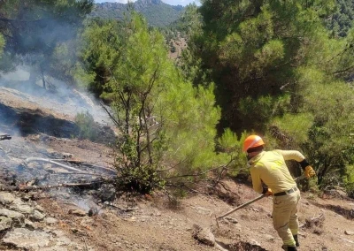 Adana Feke’deki orman yangını kontrol altına alındı
