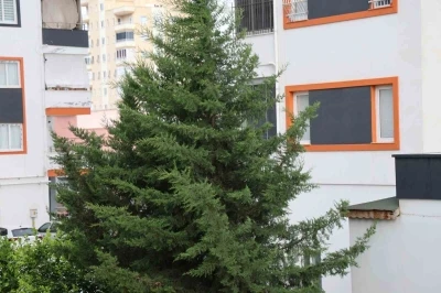 Adana&rsquo;nın kuzey il&ccedil;elerinde kuvvetli r&uuml;zgar etkili oldu
