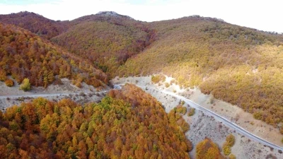 Adeta doğada bir tablo, Şebek Geçidi’nde sonbahar güzelli mest ediyor
