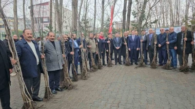 Adilcevaz’da 12 bin aşılı ceviz fidanı dağıtıldı
