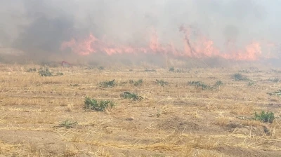 Adilcevaz’da arpa tarlasında yangın
