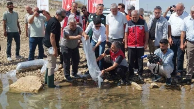 Adıyaman’da 1 milyonun üzerinde yavru sazan doğaya bırakıldı
